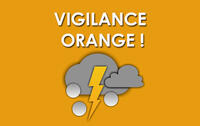 VIGILANCE ORANGE ORAGES